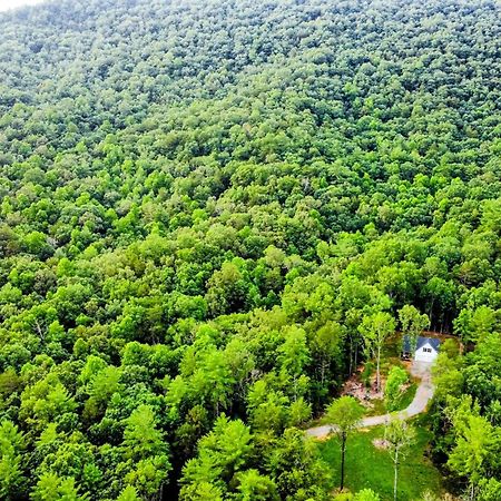 White Owl Cottage Blairsville Εξωτερικό φωτογραφία