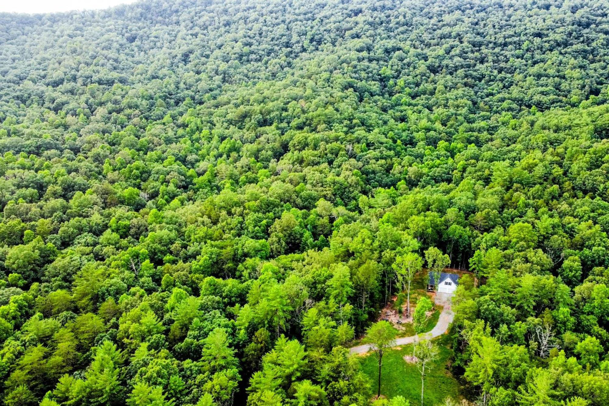 White Owl Cottage Blairsville Εξωτερικό φωτογραφία